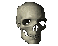 This is a skull.